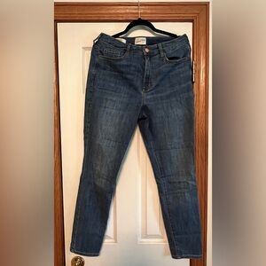 Universal Thread Skinny Jean